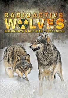 Радиоактивные волки Чернобыля (2011) смотреть онлайн hd